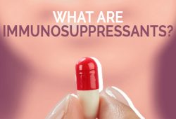 What are Immunosuppressants?