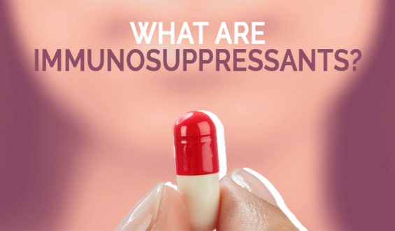 What are Immunosuppressants?