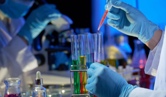 Thing You Should Know About Pcd pharma Company