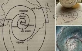 फाइबोनैचि पैटर्न / पिंगला संख्या एक प्रकृति का गुप्त कोड !