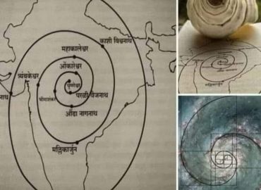 फाइबोनैचि पैटर्न / पिंगला संख्या एक प्रकृति का गुप्त कोड !