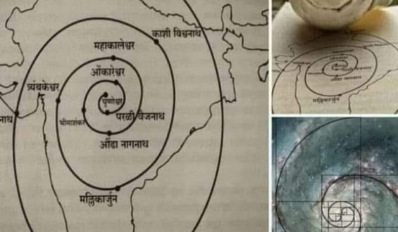 फाइबोनैचि पैटर्न / पिंगला संख्या एक प्रकृति का गुप्त कोड !