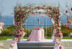 Event entertainment company in Delhi, UP & Rjasthan