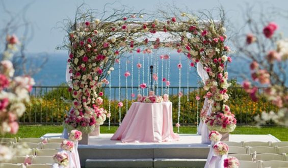 Event entertainment company in Delhi, UP & Rjasthan