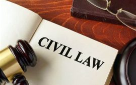 Civil law firm for NRI in India