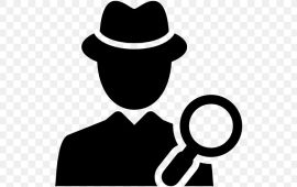 Detective in Delhi
