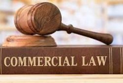 Corporate law firms for NRI in india