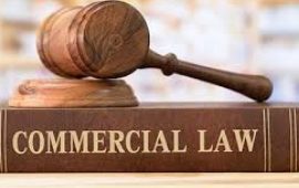 Corporate law firms for NRI in india